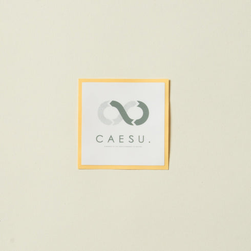 【CAESU.SDGs OUTDOOR】オリジナルステッカー