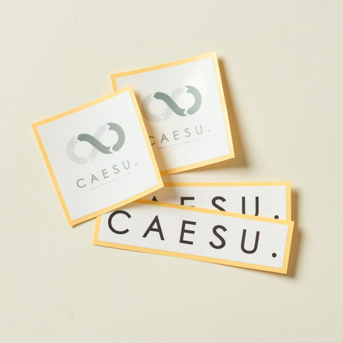 【CAESU.SDGs OUTDOOR】オリジナルステッカー
