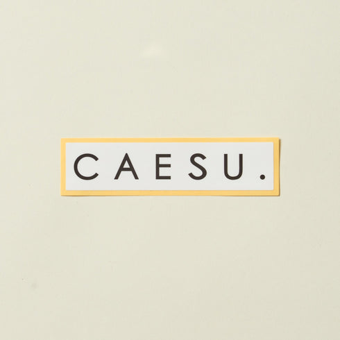 【CAESU.SDGs OUTDOOR】オリジナルステッカー